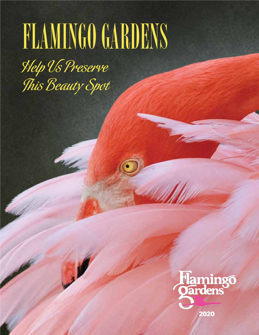 FLAMINGO GARDENS Help Us Preserve This Beauty Spot