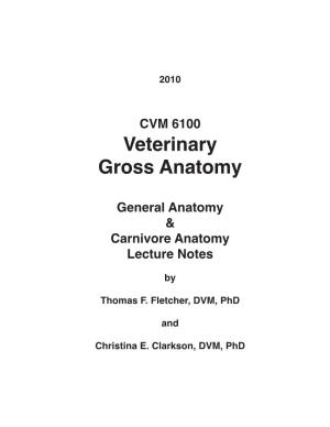 CVM 6100 Veterinary Gross Anatomy