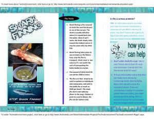 Shark Finning Brochure
