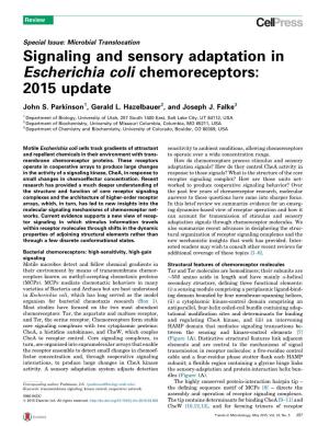Signaling and Sensory Adaptation in Escherichia Coli Chemoreceptors