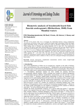 Biometric Analysis of Brushtooth Lizard Fish Saurida Undosquamis