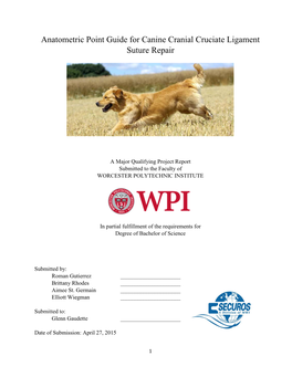 Anatometric Point Guide for Canine Cranial Cruciate Ligament Suture Repair