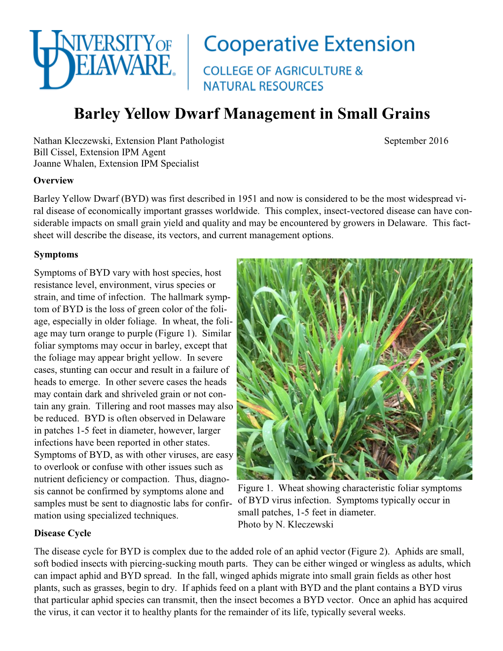 Barley Yellow Dwarf Management in Small Grains