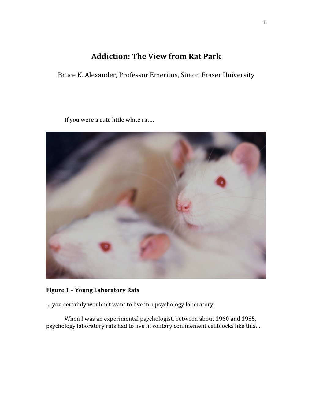 Addiction: the View from Rat Park