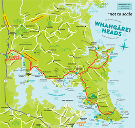 2020 Whangarei Heads