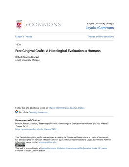 Free Gingival Grafts: a Histological Evaluation in Humans