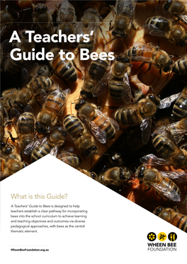 A Teachers' Guide to Bees