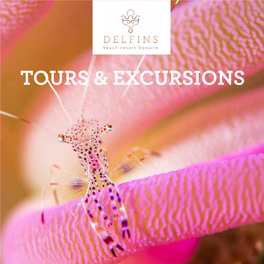 Tours & Excursions