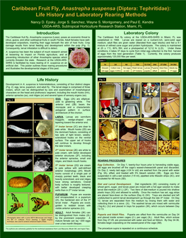 Caribbean Fruit Fly, Anastrepha Suspensa (Diptera: Tephritidae): Life History and Laboratory Rearing Methods Nancy D