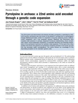 A 22Nd Amino Acid Encoded Through a Genetic Code Expansion