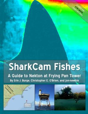 Sharkcam Fishes
