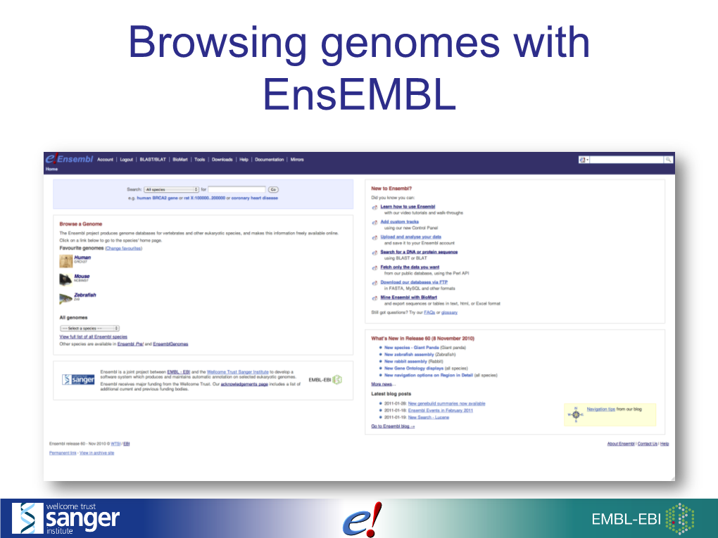 Browsing Genomes with Ensembl Annotation