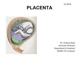 Placenta-4-2-15.Pdf