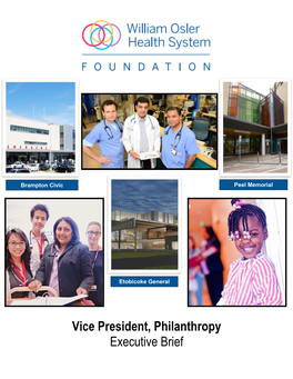 Vice President, Philanthropy Executive Brief