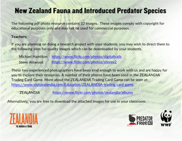 NZ Fauna & Introduced Predators