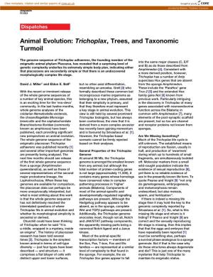 Animal Evolution: Trichoplax, Trees, and Taxonomic Turmoil