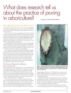 What Does Research Tell Us About the Practice of Pruning in Arboriculture? by James R