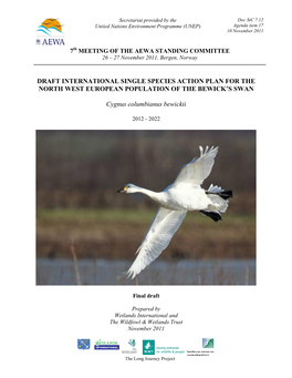 Bewick's Swan Single Species Action Plan