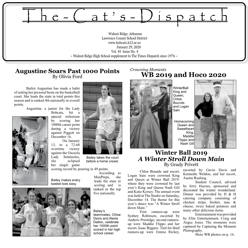 The-Cat's-Dispatch