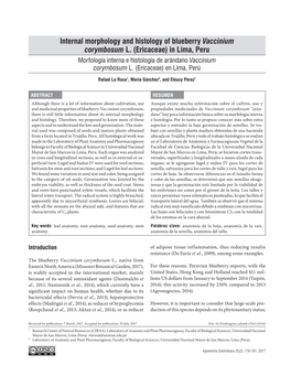 Internal Morphology and Histology of Blueberry Vaccinium Corymbosum L
