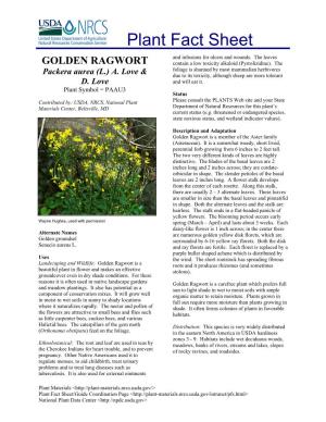 Golden Ragwort (Packera Aurea) Plant Fact Sheet