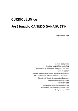 CURRICULUM De José Ignacio CANUDO