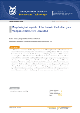 Morphological Aspects of the Brain in the Indian Grey Mongoose (Herpestes Edwardsii)