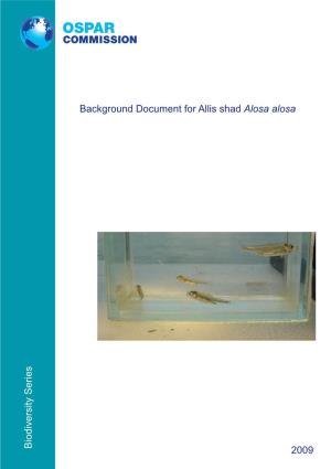 Background Document for Allis Shad Alosa Alosa Year