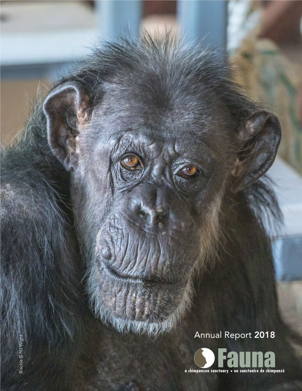 Annual Report 2018 Blackie © NJ Wight Help Us Secure Their Future