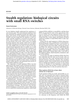 Biological Circuits with Small RNA Switches