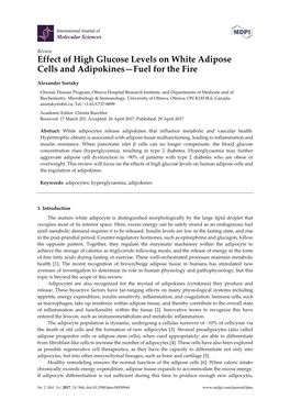 Effect of High Glucose Levels on White Adipose Cells and Adipokines—Fuel for the Fire
