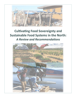 Cultivating Food Sovereignty and Sustainable Food Systems in the North: a Review and Recommendations