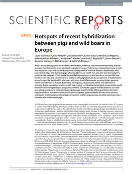 Hotspots of Recent Hybridization Between Pigs and Wild Boars In