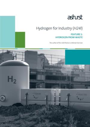HYDROGEN from WASTE Hydrogen for Industry (H24I)