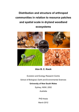 Distribution and Structure of Arthropod Communities in Relation to Resource Patches and Spatial Scale in Dryland Woodland Ecosystems