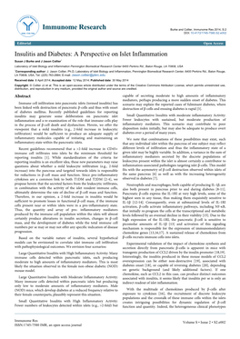 Insulitis and Diabetes: a Perspective on Islet Inflammation