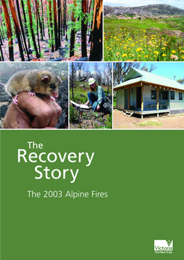 The Recovery Story: Introduction