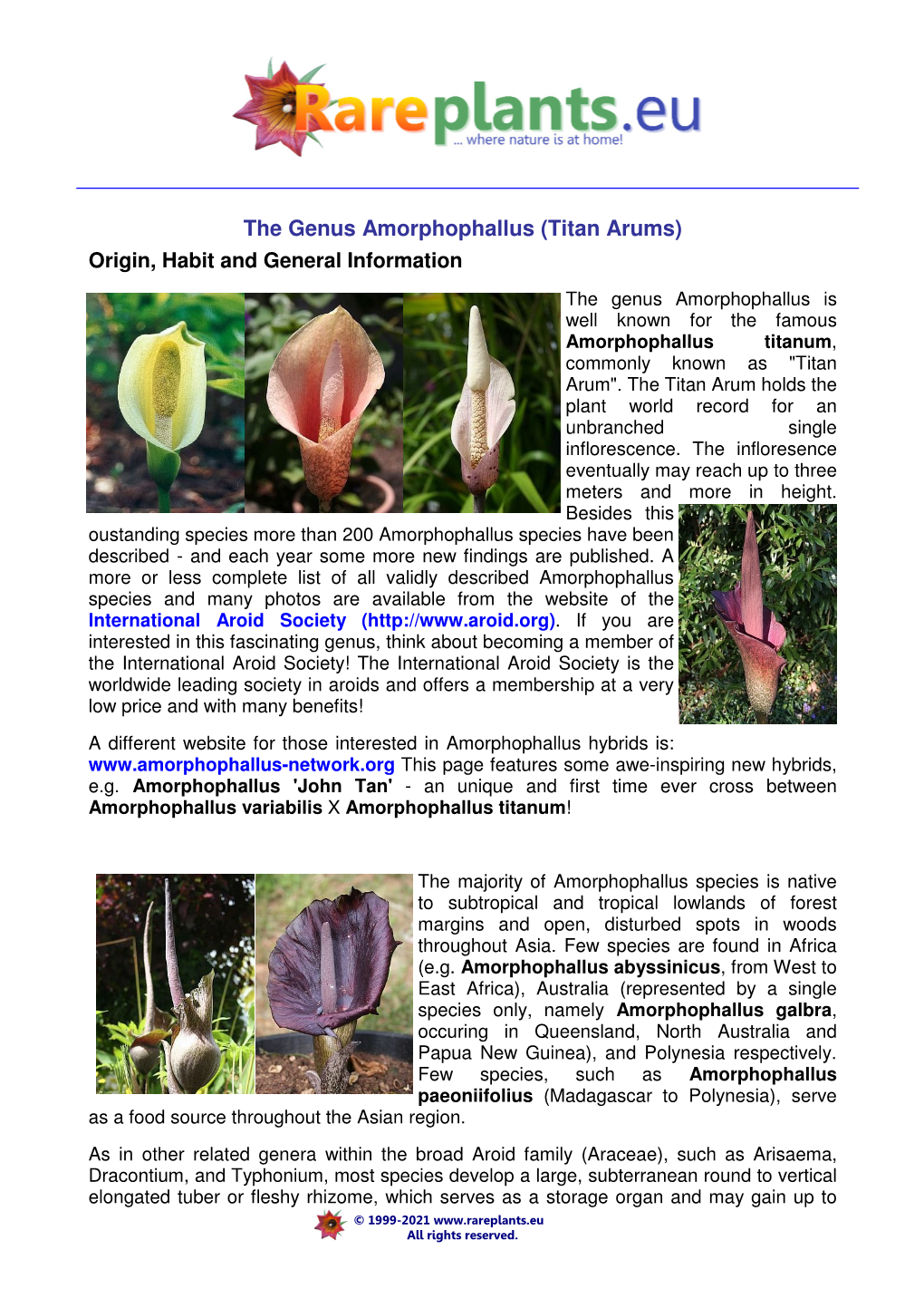 The Genus Amorphophallus