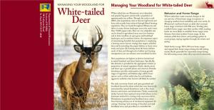 Managing Your Woodland for White-Tailed Deer St