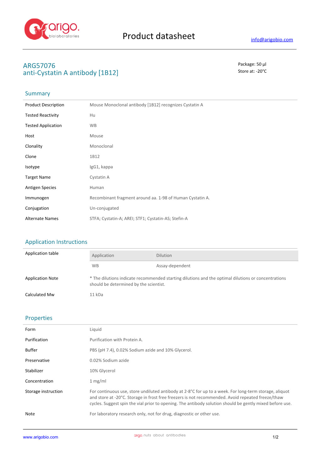 Anti-Cystatin a Antibody [1B12] (ARG57076)