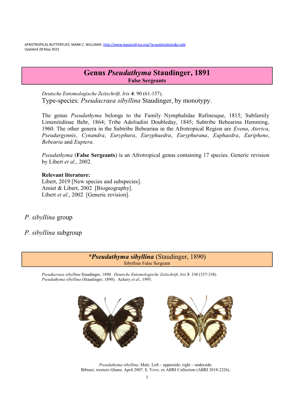 330 Genus Pseudathyma Staudinger