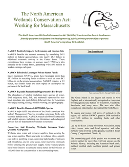 The North American Wetlands Conservation Act: Working for Massachusetts