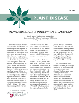 Snow Mold Diseases of Winter Wheat in Washington