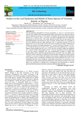 Studies on the Leaf Epidermis and Midrib of Some Species of Vernonia Schreb