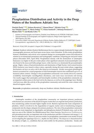 Picoplankton Distribution and Activity in the Deep Waters of the Southern Adriatic Sea