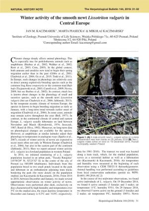 Winter Activity of the Smooth Newt Lissotriton Vulgaris in Central Europe