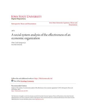 A Social System Analysis of the Effectiveness of an Economic Organization Otto Carlo Sampson Jr