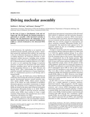 Driving Nucleolar Assembly