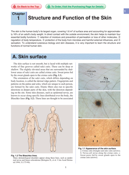 1 Structure and Function of the Skin