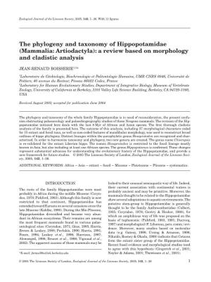 The Phylogeny and Taxonomy of Hippopotamidae (Mammalia: Artiodactyla): a Review Based on Morphology and Cladistic Analysis
